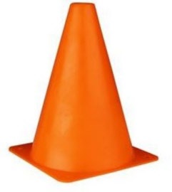 pion